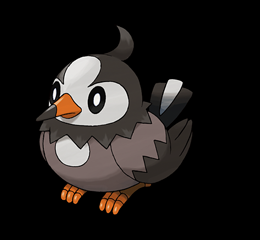396-Starly