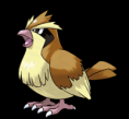 016-Pidgey
