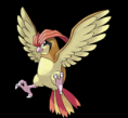 017-Pidgeotto