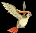 018-Pidgeot