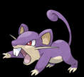 019-Rattata