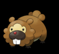 399-Bidoof